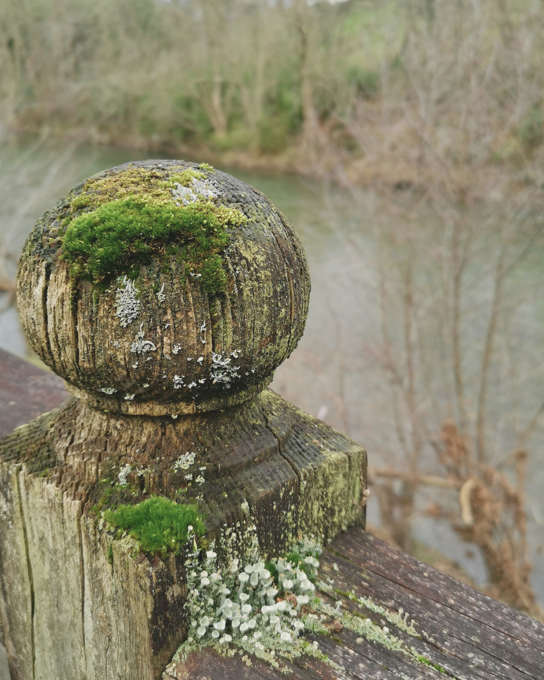 Lire la suite à propos de l’article AUTANT DE DESSINS À DESSEIN